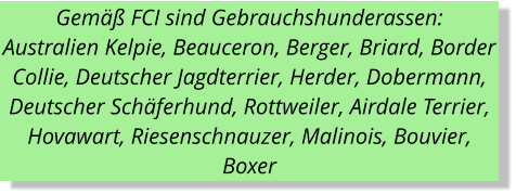 Gemäß FCI sind Gebrauchshunderassen: Australien Kelpie, Beauceron, Berger, Briard, Border Collie, Deutscher Jagdterrier, Herder, Dobermann, Deutscher Schäferhund, Rottweiler, Airdale Terrier, Hovawart, Riesenschnauzer, Malinois, Bouvier, Boxer